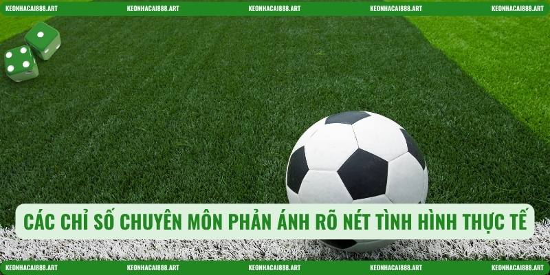 Các chỉ số chuyên môn phản ánh rõ nét tình hình thực tế