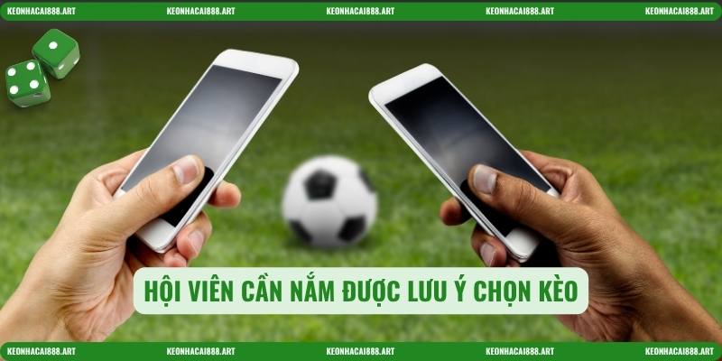 Hội viên cần nắm được lưu ý chọn kèo