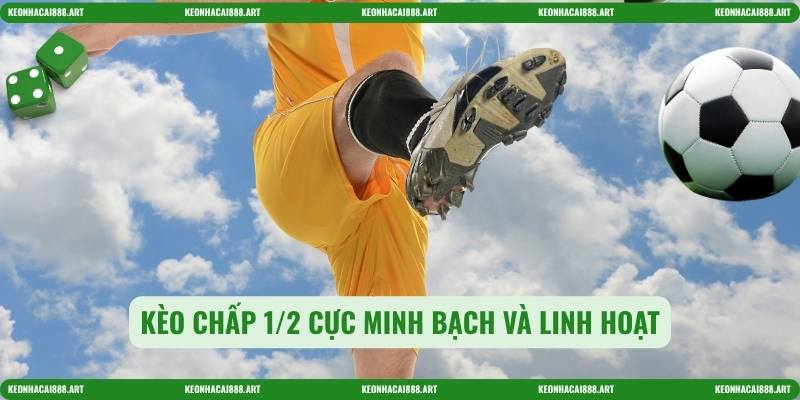 Kèo chấp 1/2 cực minh bạch và linh hoạt