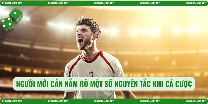 Người mới cần nắm rõ một số nguyên tắc khi cá cược