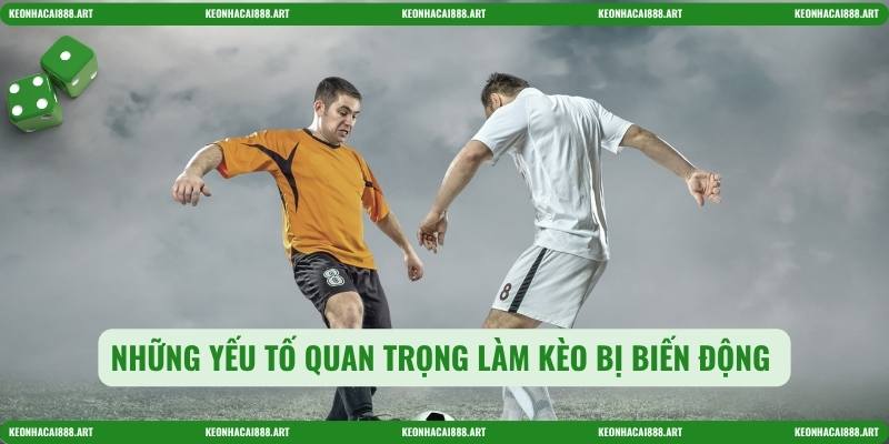 Những yếu tố quan trọng làm kèo bị biến động 