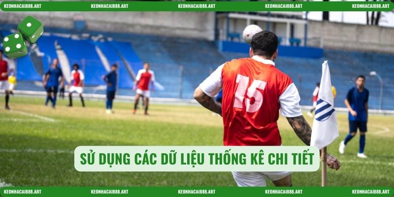 Sử dụng các dữ liệu thống kê chi tiết