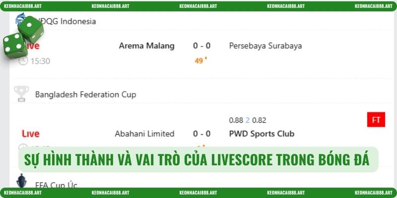 Sự hình thành và vai trò của livescore trong bóng đá 