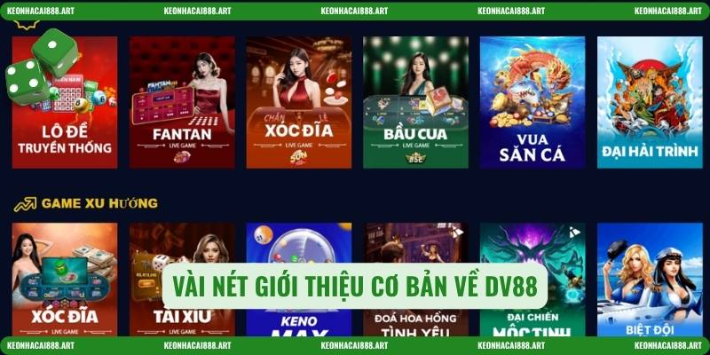 Vài nét giới thiệu cơ bản về DV88